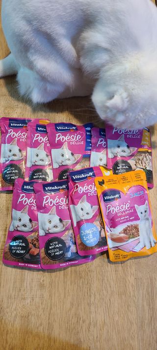 비타크래프트 포에시 델리스 고양이 파우치 85g 9가지맛 1팩씩 — 4.5점을 준 리뷰어가 2021년 8월 올린 사용 사진