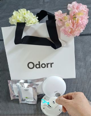 참살이님이 올린 리뷰 사진 3