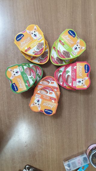 비타크래프트 조에시 하트캔 85g 강아지 습식캔 10캔 — 5점을 준 리뷰어가 2021년 7월 올린 사용 사진