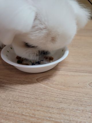 ruler.zero님이 올린 리뷰 사진 4