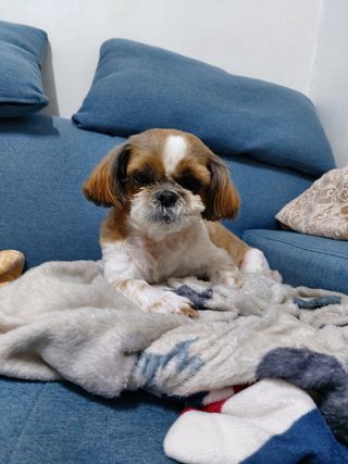 혤님님이 올린 리뷰 사진 3