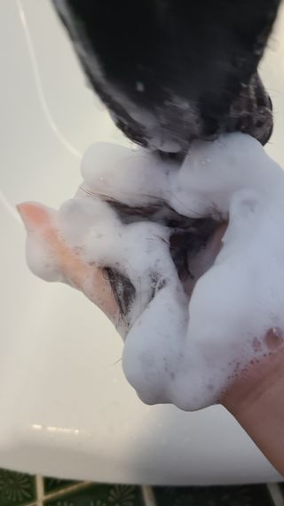 [바디홈즈] 골드 마유 샴푸 — 4점을 준 리뷰어가 2021년 11월 올린 사용 사진
