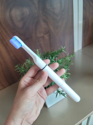 가루파랑님이 올린 리뷰 사진 3
