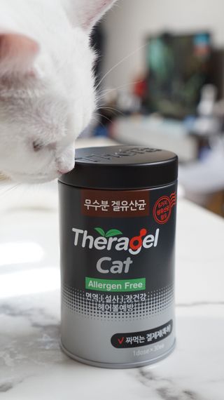 도르방구님이 올린 리뷰 사진 1