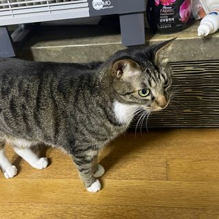 초코송이님이 올린 리뷰 사진 4