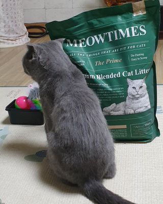라기라기님이 올린 리뷰 사진 2