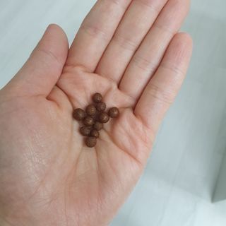 펫21 그로그로 5종 강아지 고양이 반려동물 한방 영양제 — 3.5점을 준 리뷰어가 2021년 11월 올린 사용 사진