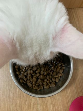 꺼억님이 올린 리뷰 사진 3