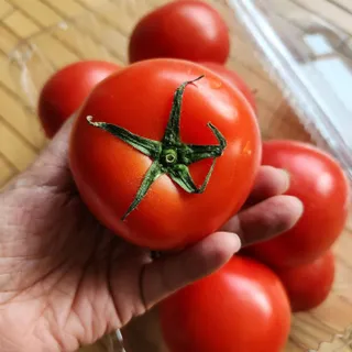 발랄써냐님이 올린 리뷰 사진 4