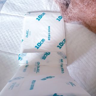 아베크 펫 와이드 프리미엄 대형 애견 강아지 배변 패드 30매 1팩 80g — 5점을 준 리뷰어가 2021년 7월 올린 사용 사진