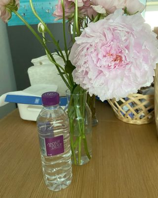 몽베스트 [MONTBEST] 500mL 20병 — 5점을 준 리뷰어가 2022년 5월 올린 사용 사진