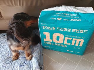 하니보니님이 올린 리뷰 사진 1