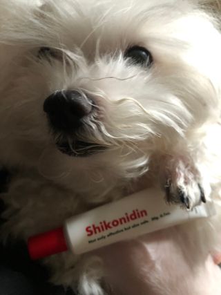 [자유펫] 시코니딘 고양이 강아지 피부 보습 연고 20g — 5점을 준 리뷰어가 2022년 6월 올린 사용 사진