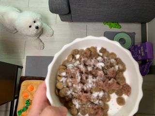 펫에이블 데일리바이트 키토 [비프], [치킨] — 5점을 준 리뷰어가 2021년 8월 올린 사용 사진