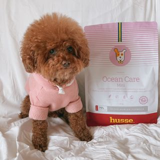 조이님이 올린 리뷰 사진 1