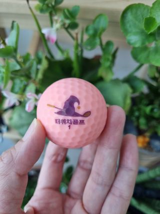 더위치골프(thewitchgolf) 프리미엄 골프 공 더위치골프 매트 펄 컬러의 3피스볼 더위치골프 골프볼 선물세트 — 5점을 준 리뷰어가 2023년 11월 올린 사용 사진