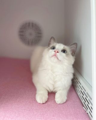 ccoyo님이 올린 리뷰 사진 3
