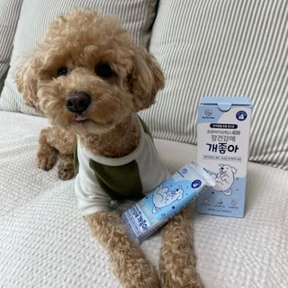 My Pet Care 장건강에 개좋아 — 4.5점을 준 리뷰어가 2021년 2월 올린 사용 사진