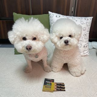 땡큐순님이 올린 리뷰 사진 1