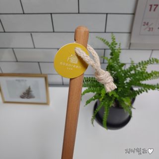지니야님이 올린 리뷰 사진 2