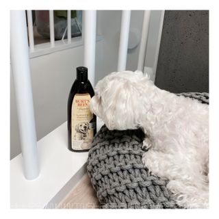 라랑푸님이 올린 리뷰 사진 3