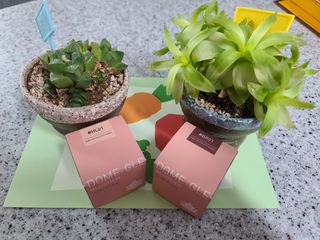 사남매맘님이 올린 리뷰 사진 1