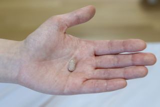 슬림플래닛 녹차카테킨 500mg 애프터밀 — 5점을 준 리뷰어가 2021년 3월 올린 사용 사진