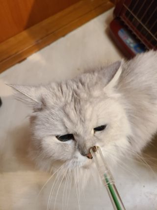 박오뎅님이 올린 리뷰 사진 3