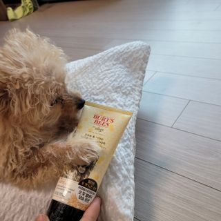 퐁퐁이님이 올린 리뷰 사진 1