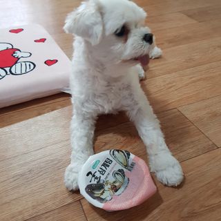 지니야님이 올린 리뷰 사진 1