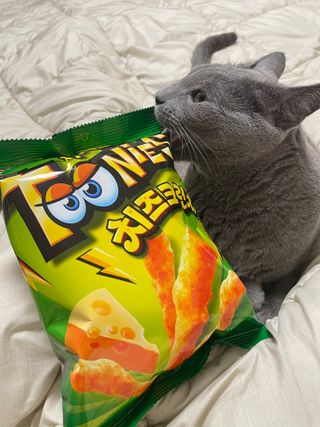 여온님이 올린 리뷰 사진 1
