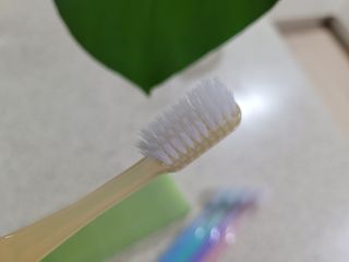 쏘이님이 올린 리뷰 사진 4