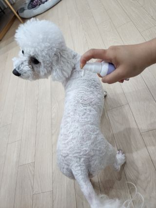 @,@님이 올린 리뷰 사진 3