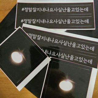 가을봉숙 정말잘지내나요사실난울고있는데 — 5점을 준 리뷰어가 2023년 2월 올린 사용 사진