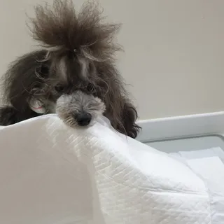 BlossomY님이 올린 리뷰 사진 1