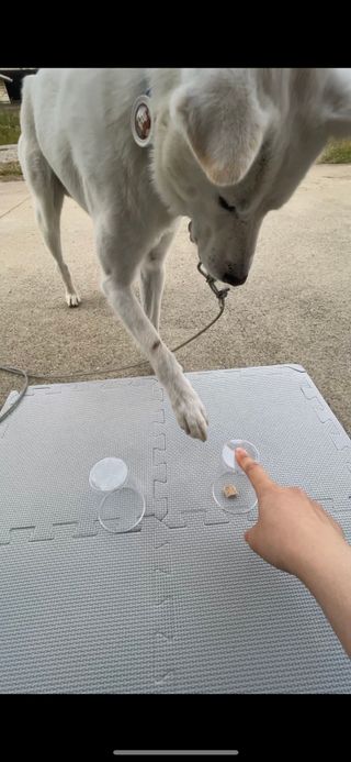 Jenny님이 올린 리뷰 사진 1