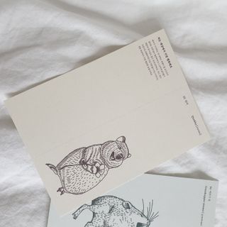 보다님이 올린 리뷰 사진 4