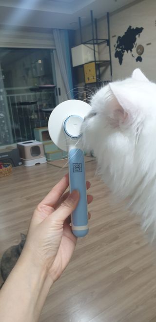 우동한그릇님이 올린 리뷰 사진 2