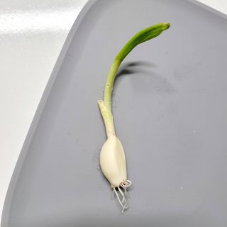 이타마님이 올린 리뷰 사진 3
