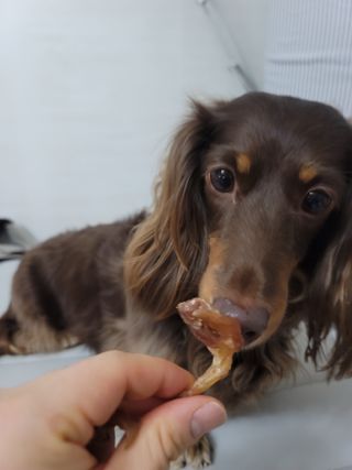 llalla님이 올린 리뷰 사진 4
