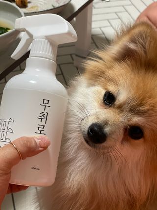 용빈맘님이 올린 리뷰 사진 3