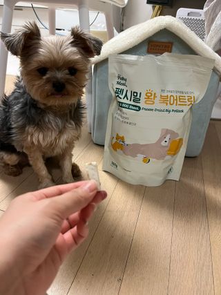 [펫시밀] 원물그대로 영양듬뿍 동결건조 왕북어트릿300g,왕치킨트릿400g,열빙어트릿300g 대용량 간식 — 5점을 준 리뷰어가 2023년 5월 올린 사용 사진