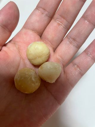 도이퉁 마카다미아 넛 90g  로얄 마카넛 오리지널 쏠트 허니 — 5점을 준 리뷰어가 2021년 3월 올린 사용 사진