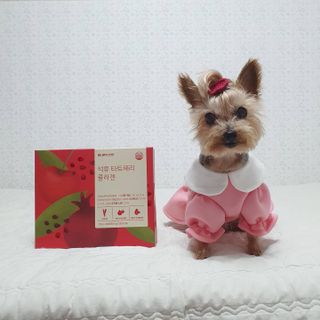 솜희님이 올린 리뷰 사진 3