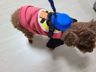 연이님이 올린 리뷰 사진 2
