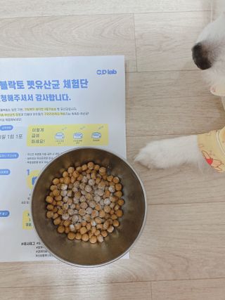 씨디랩 구강에서 장까지 한 번에 관리하는 더블락토 강아지 고양이 유산균 — 4.5점을 준 리뷰어가 2021년 6월 올린 사용 사진