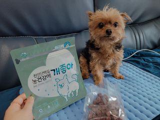 My Pet Care 천연단백질 눈건강에 개좋아 — 4점을 준 리뷰어가 2021년 2월 올린 사용 사진