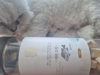 부르르펫 야미트릿 틸라피아 60g — 5점을 준 리뷰어가 2021년 10월 올린 사용 사진