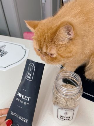 딸기우유님이 올린 리뷰 사진 4