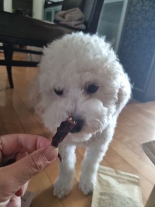 귀요미두공주맘님이 올린 리뷰 사진 4